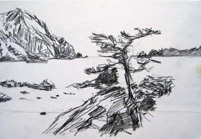 Sketch of a tree by the sea near Ushibuka, Japan