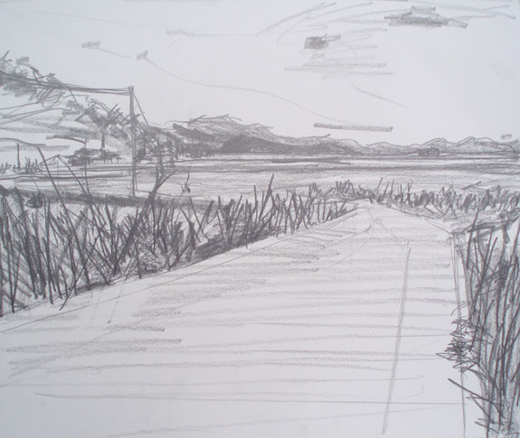 Sketch of fields near Kawaura