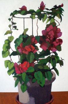 Still life: Bougainvillea